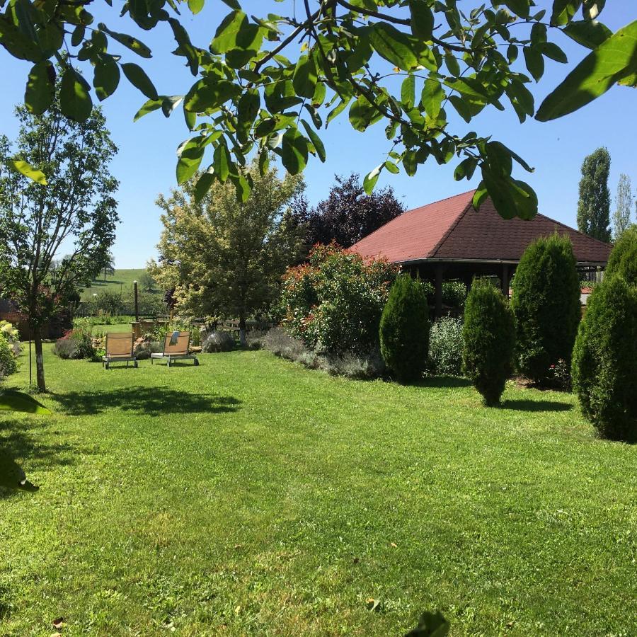 Domaine De La Mance - Maisonnette Avec Cheminee Vitrey-sur-Mance Kültér fotó