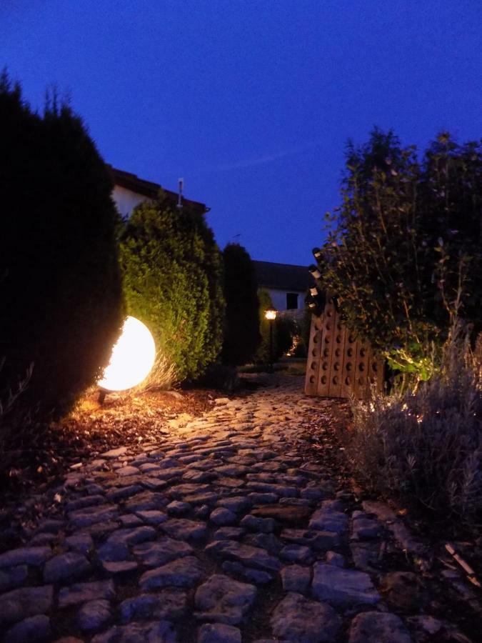 Domaine De La Mance - Maisonnette Avec Cheminee Vitrey-sur-Mance Kültér fotó