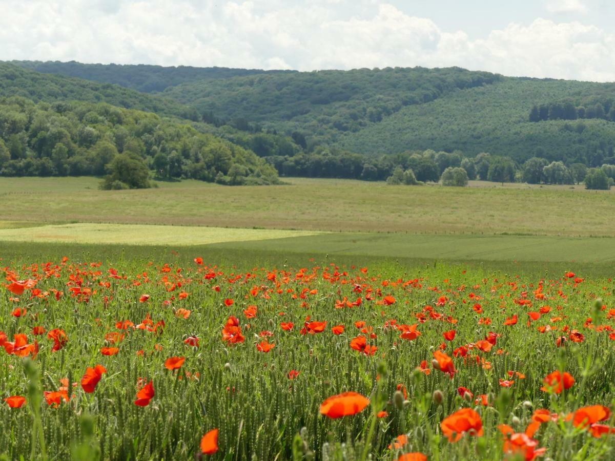 Domaine De La Mance - Maisonnette Avec Cheminee Vitrey-sur-Mance Kültér fotó