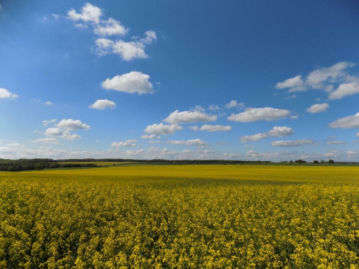 Domaine De La Mance - Maisonnette Avec Cheminee Vitrey-sur-Mance Kültér fotó